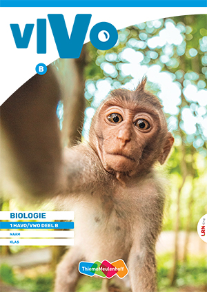 Vivo Leerwerkboek 1 havo/vwo deel B