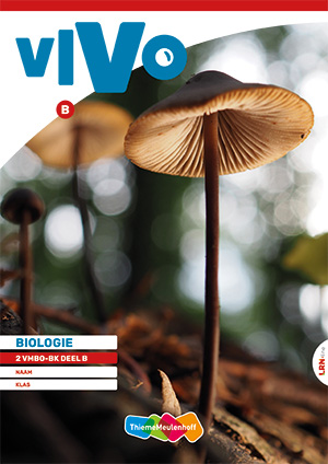 Vivo Leerwerkboek 2 vmbo-bk deel B