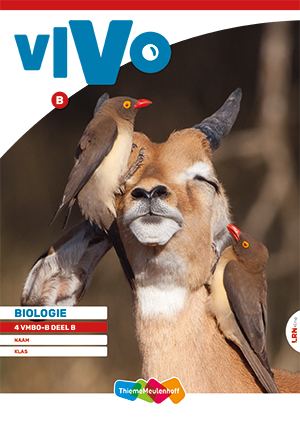 Vivo Leerwerkboek 4 vmbo-b deel B