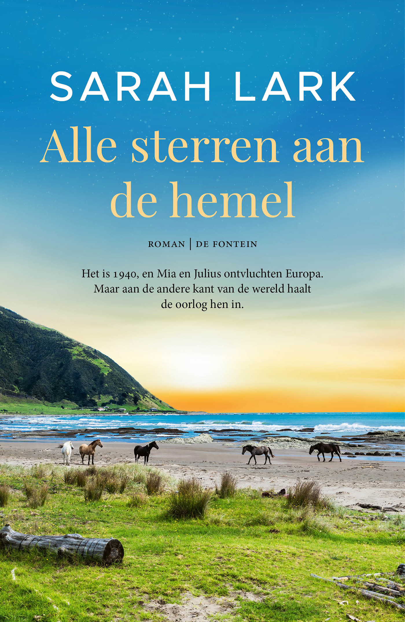Alle sterren aan de hemel