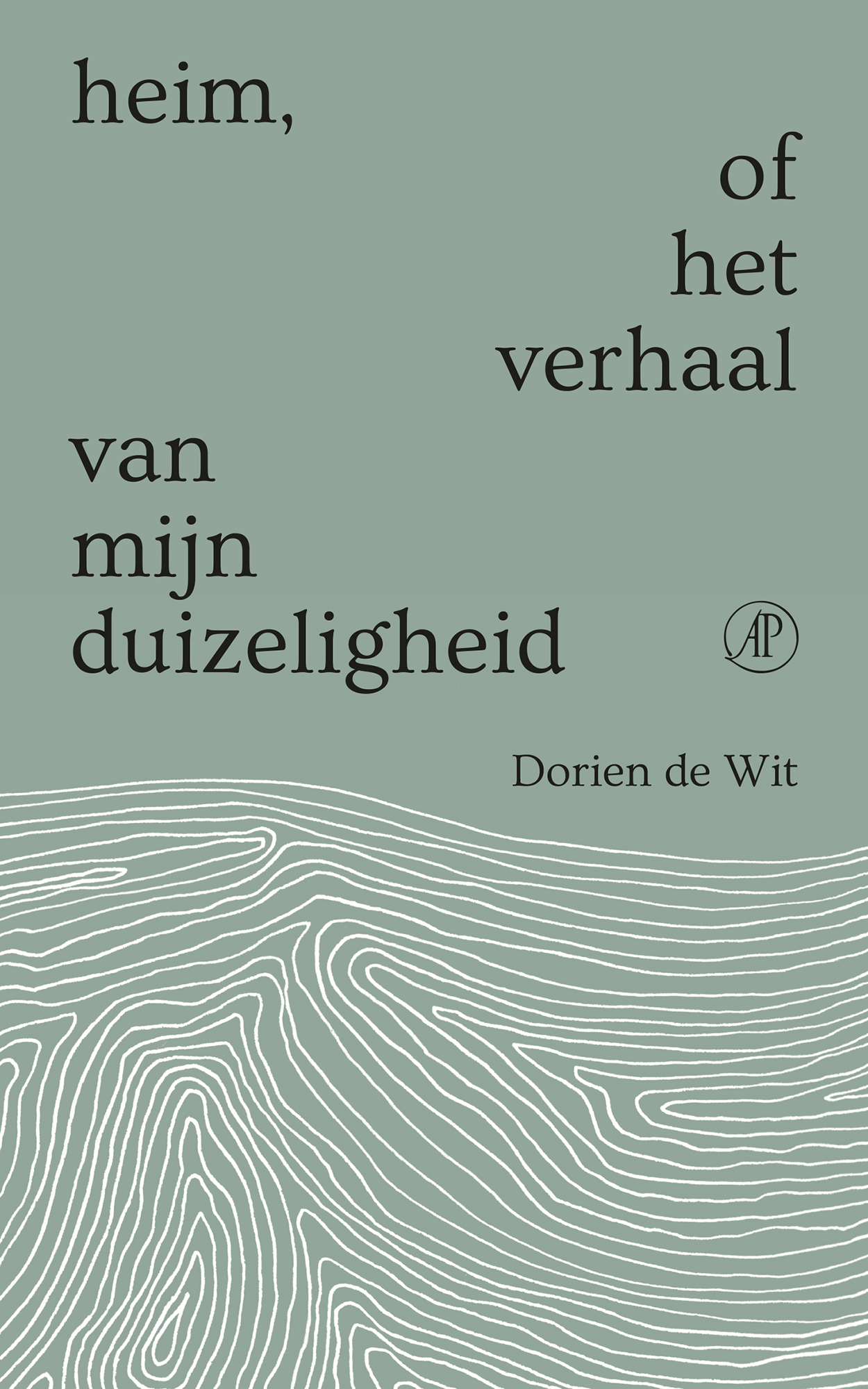 Heim of het verhaal van mijn duizeligheid