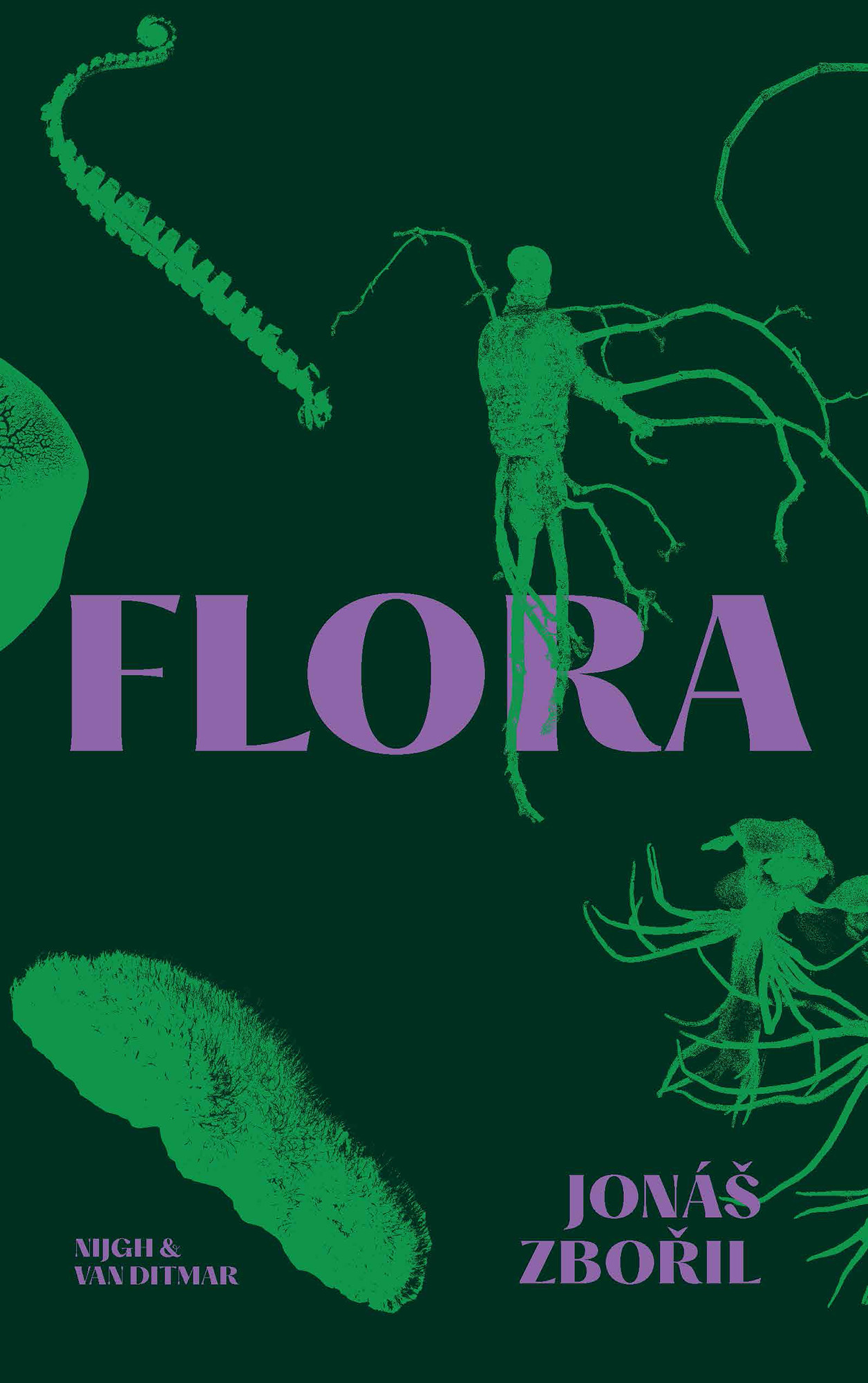 Flora