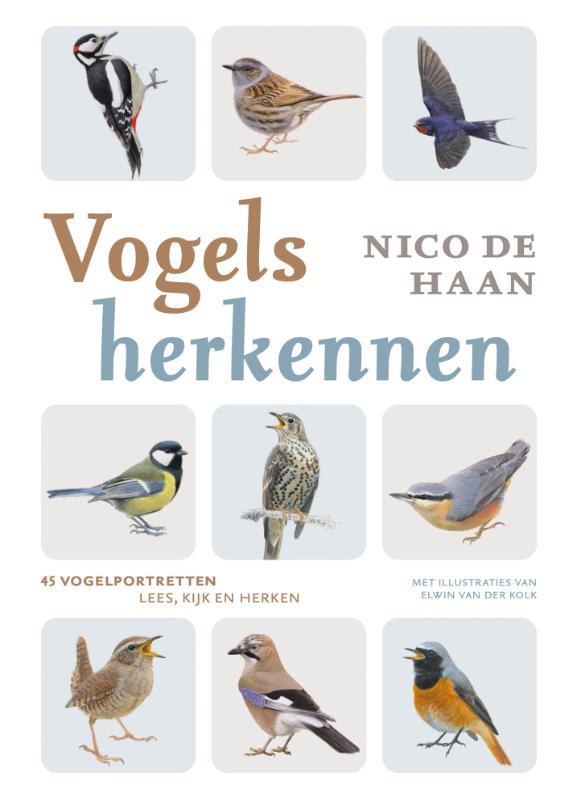 Vogels herkennen