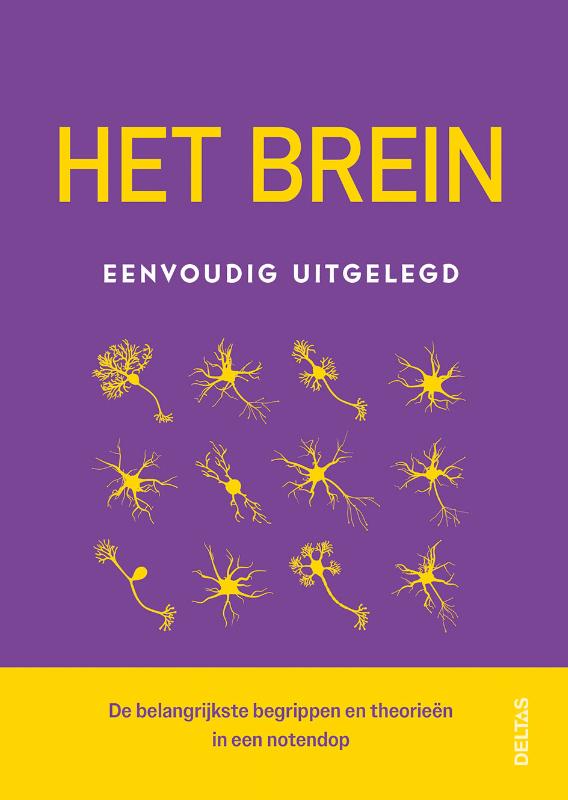 Het brein eenvoudig uitgelegd