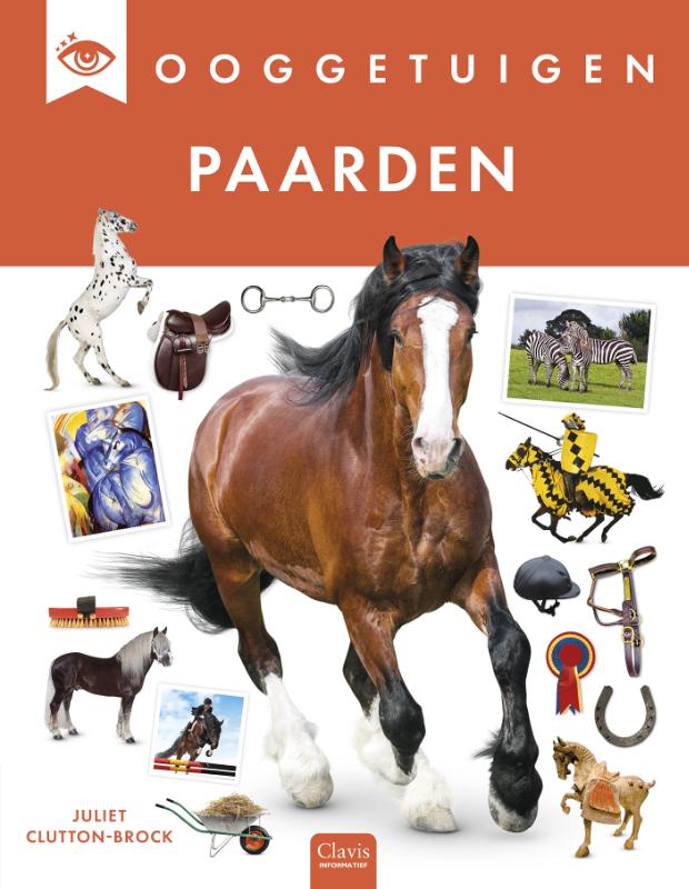 Ooggetuigen. Paarden