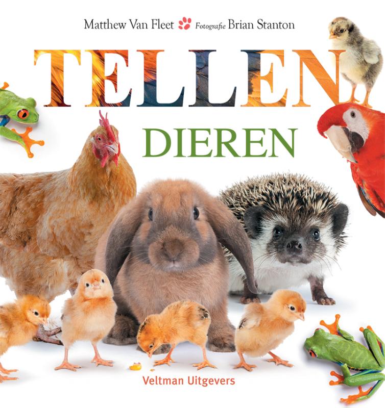 Tellen - dieren