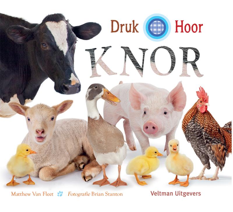 Druk hoor knor