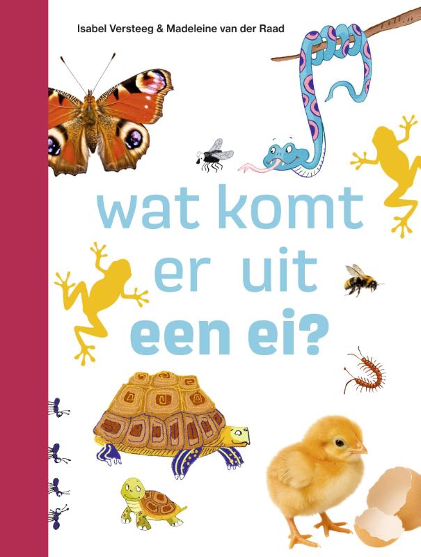 wat komt er uit een ei?