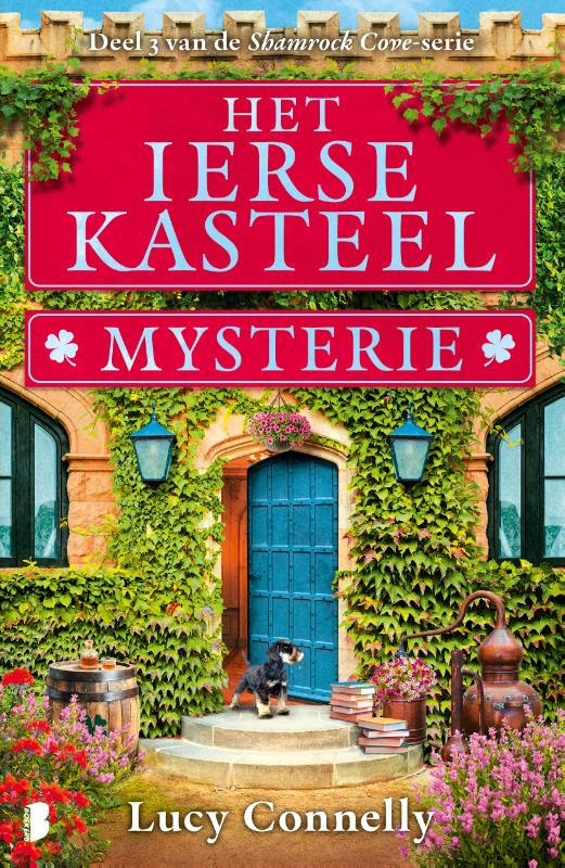 Het Ierse kasteelmysterie