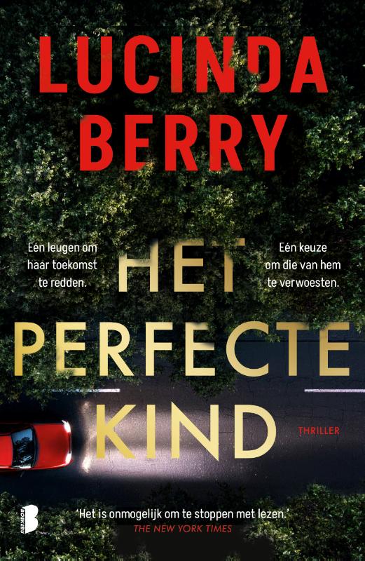 Het perfecte kind