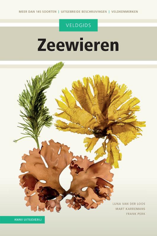 Veldgids Zeewieren