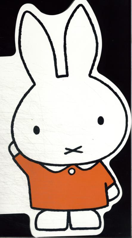 nijntjes woordenboek