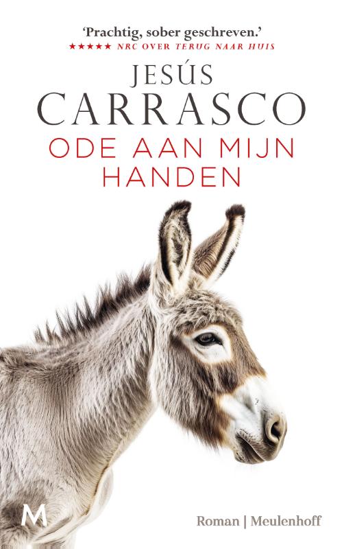 Ode aan mijn handen