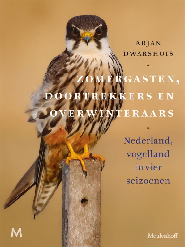 Zomergasten, doortrekkers en overwinteraars