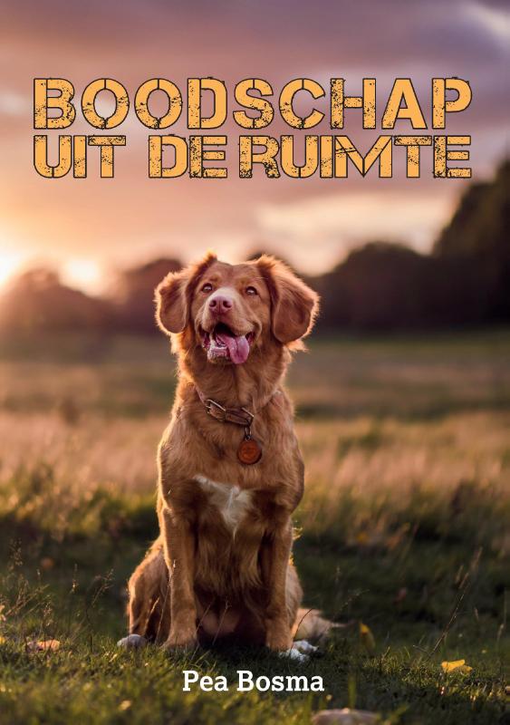 Boodschap uit de Ruimte