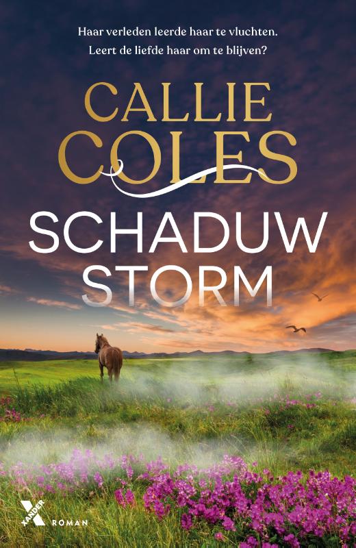 Schaduwstorm