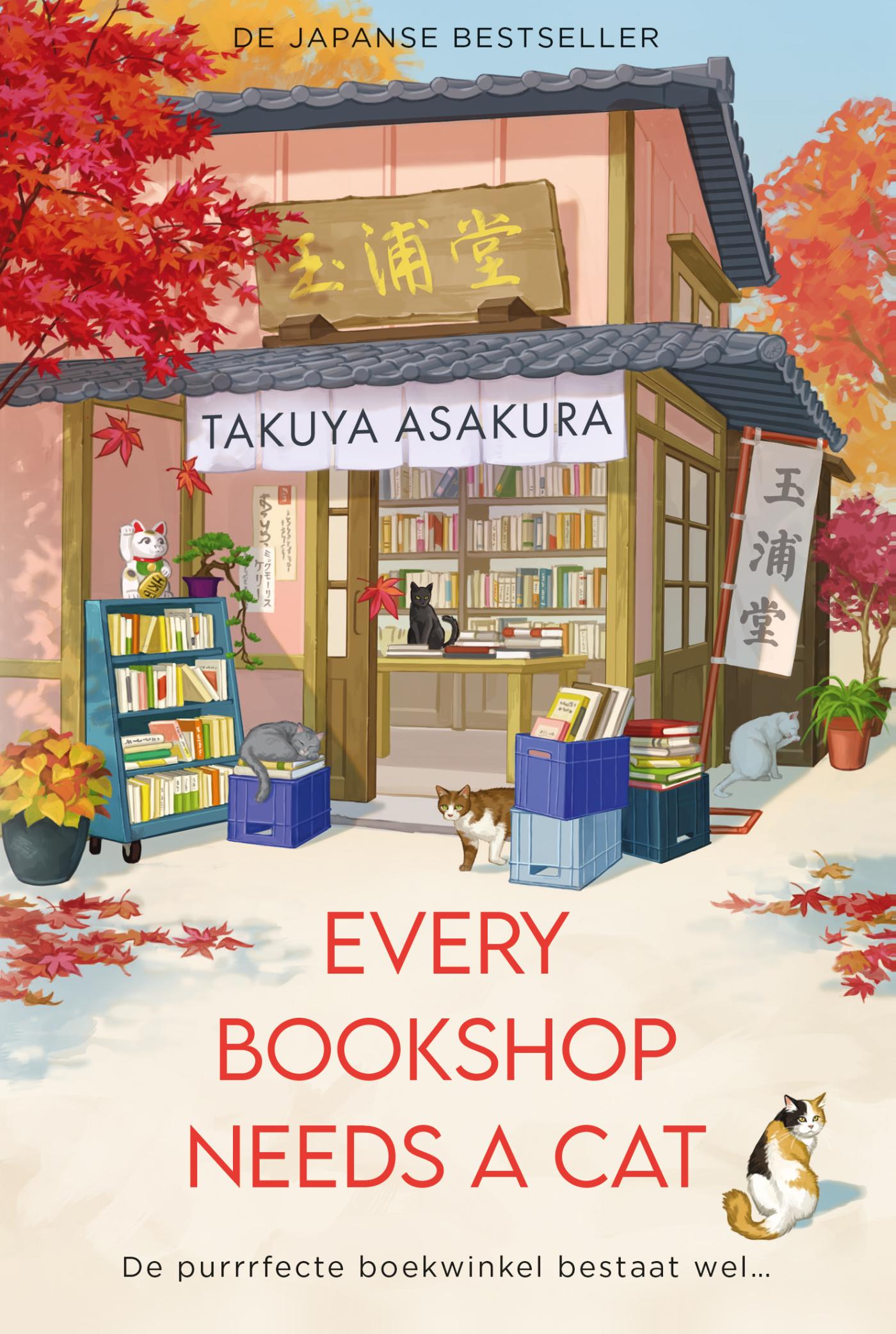 Every Bookshop Needs a Cat