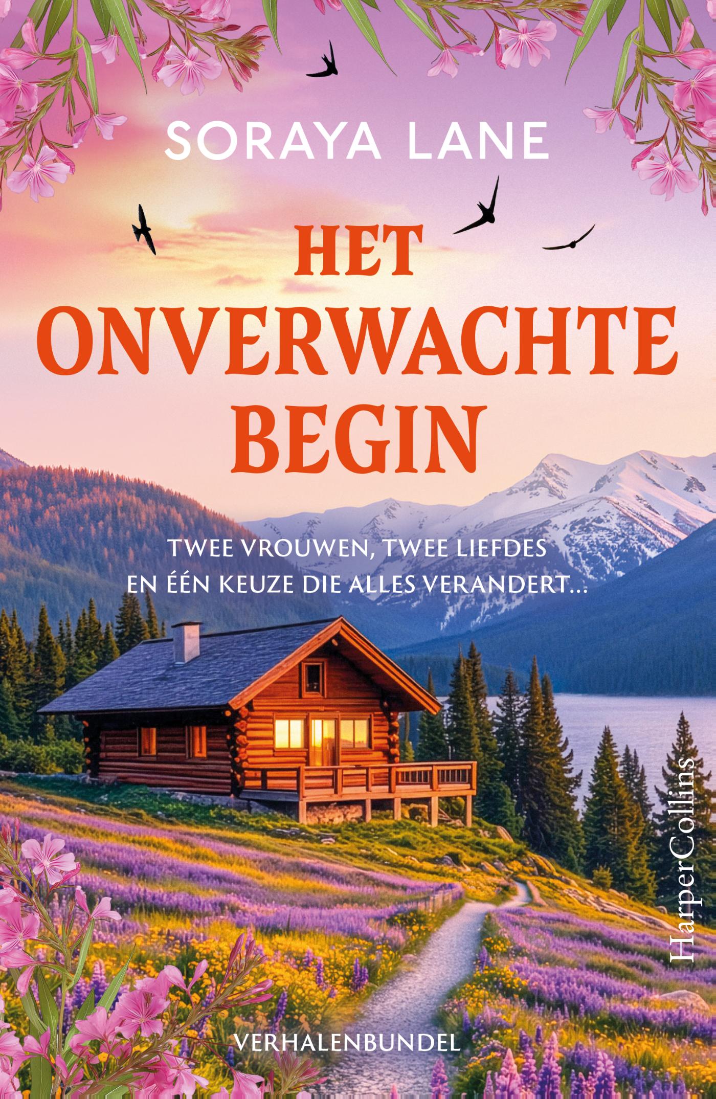 Het onverwachte begin