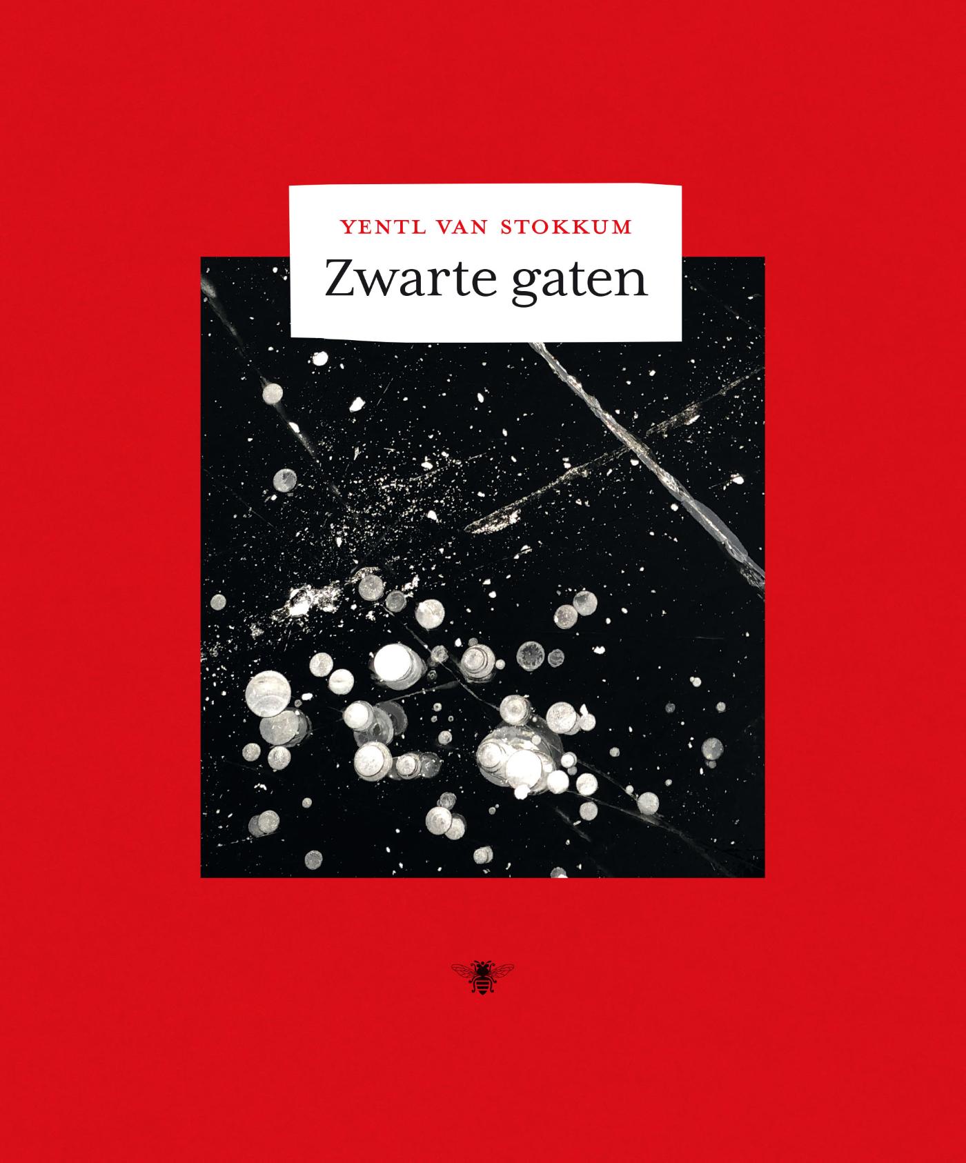 Zwarte gaten