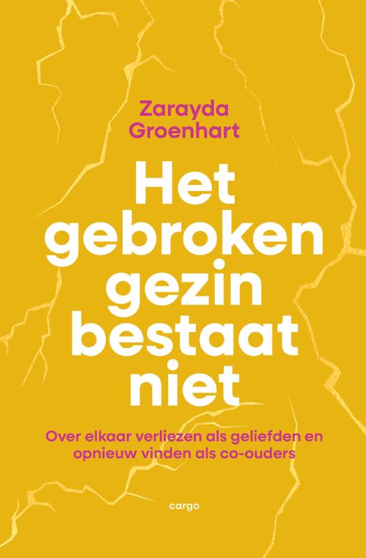 Het gebroken gezin bestaat niet