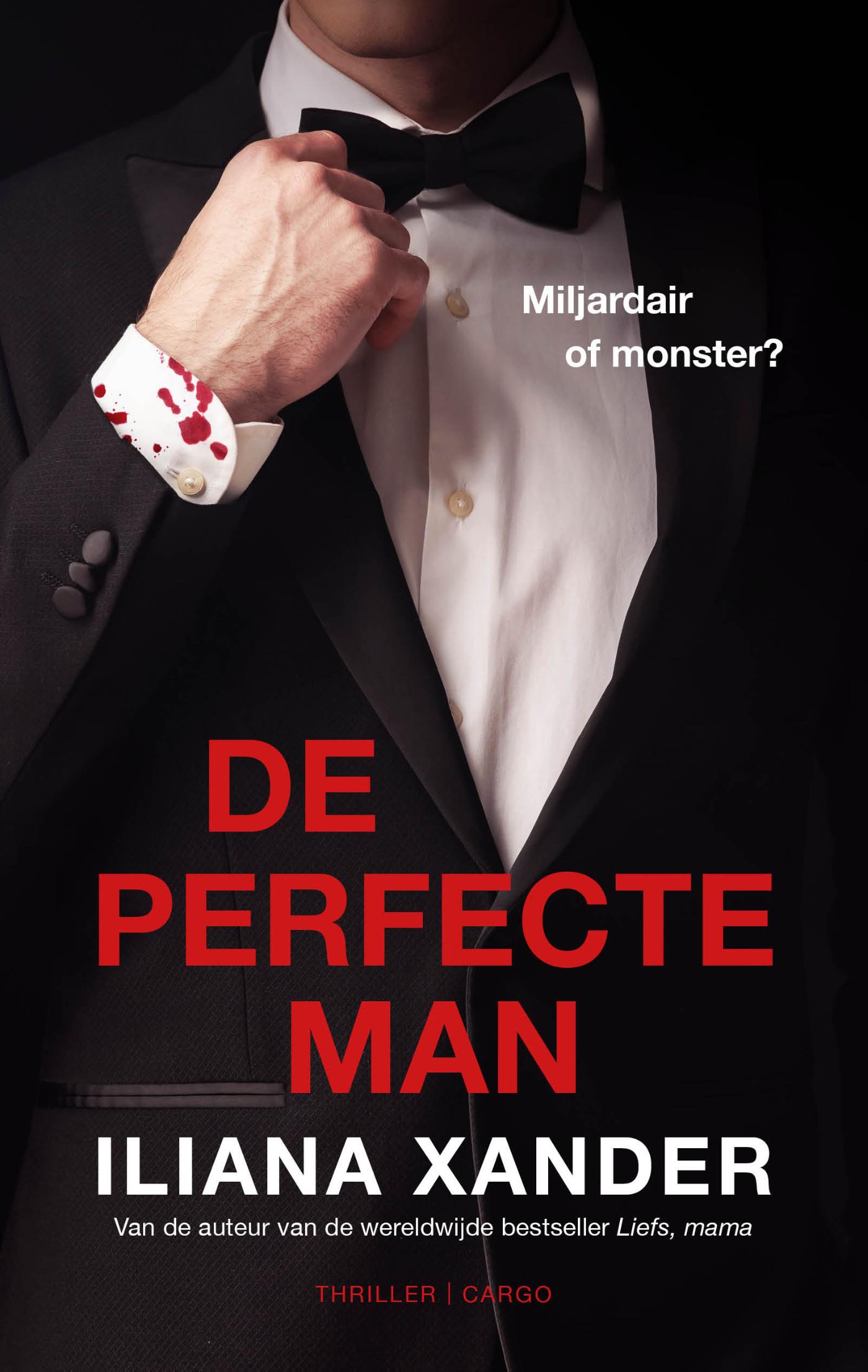 De perfecte man