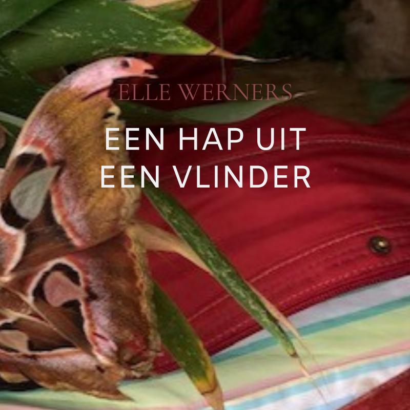 EEN HAP UIT EEN VLINDER