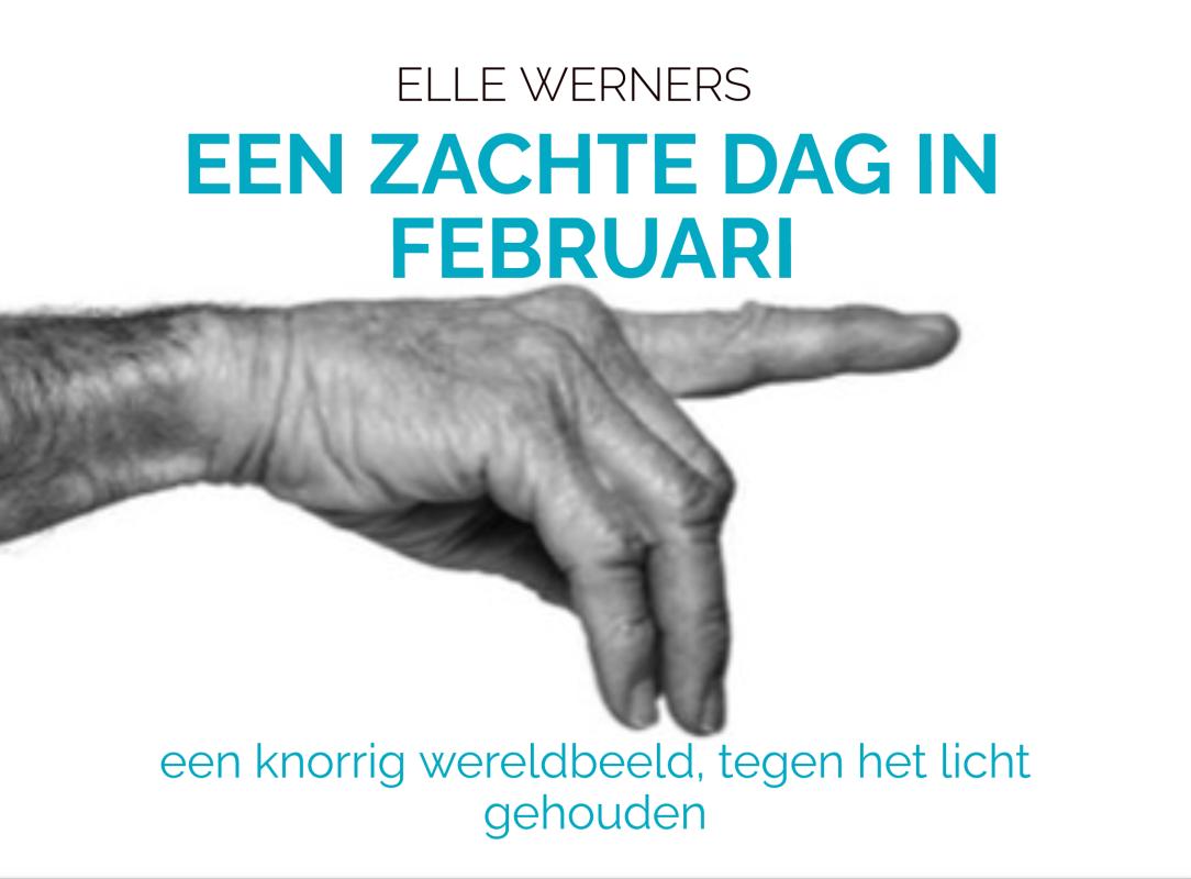 EEN ZACHTE DAG IN FEBRUARI