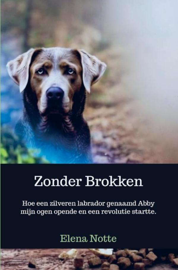 Zonder Brokken
