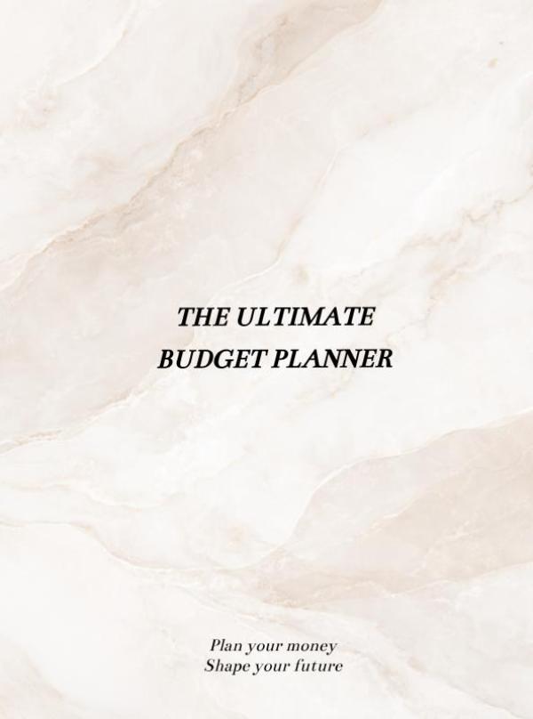 365 Days Budget Planner
