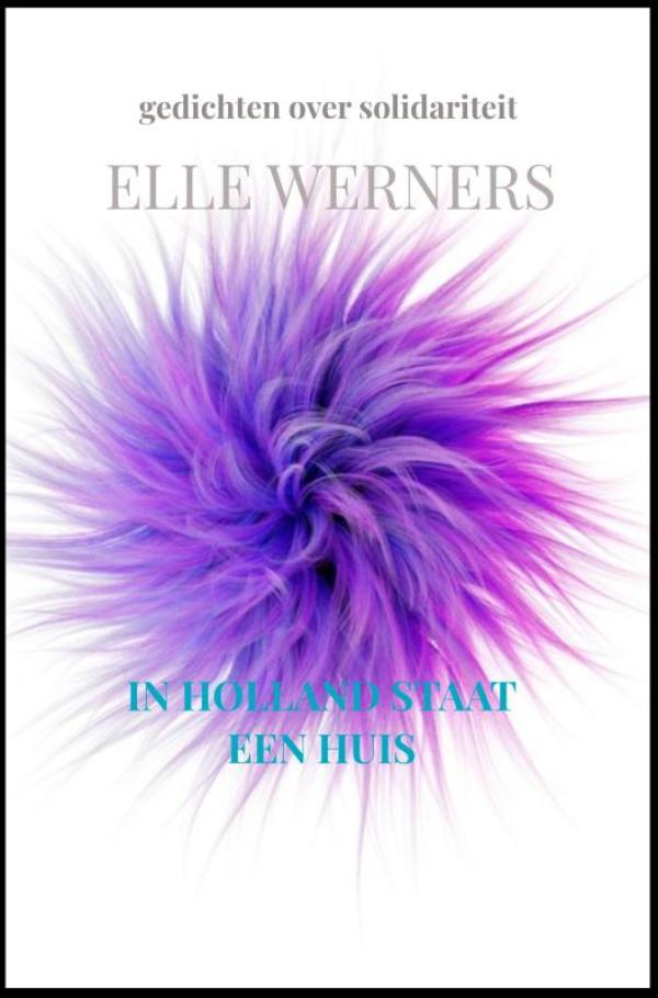 IN HOLLAND STAAT EEN HUIS