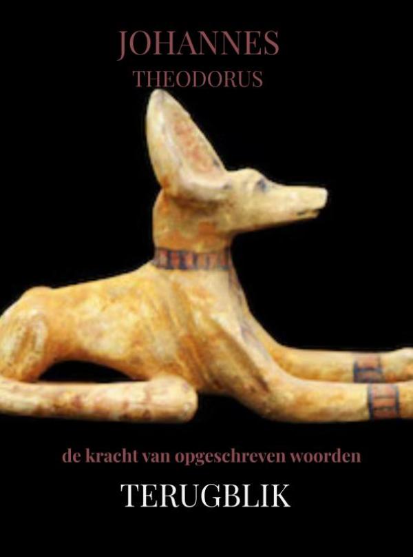 TERUGBLIK