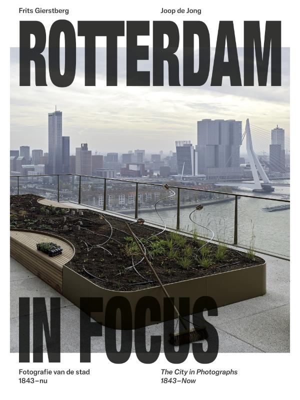 Rotterdam in focus