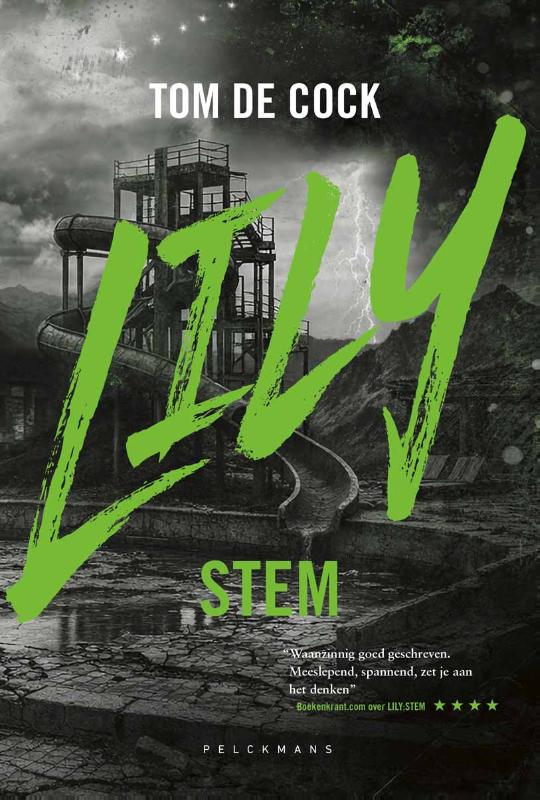 LILY: Stem