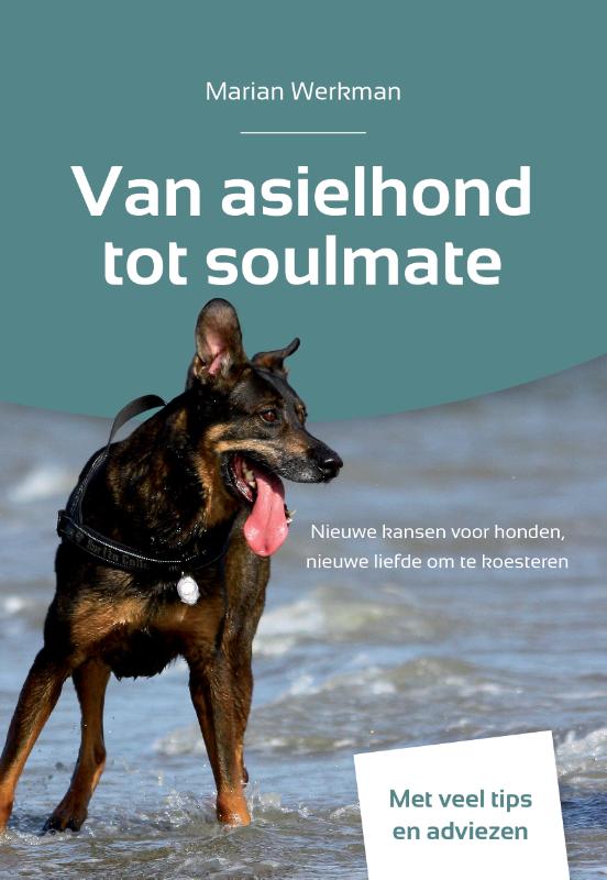 Van asielhond tot soulmate