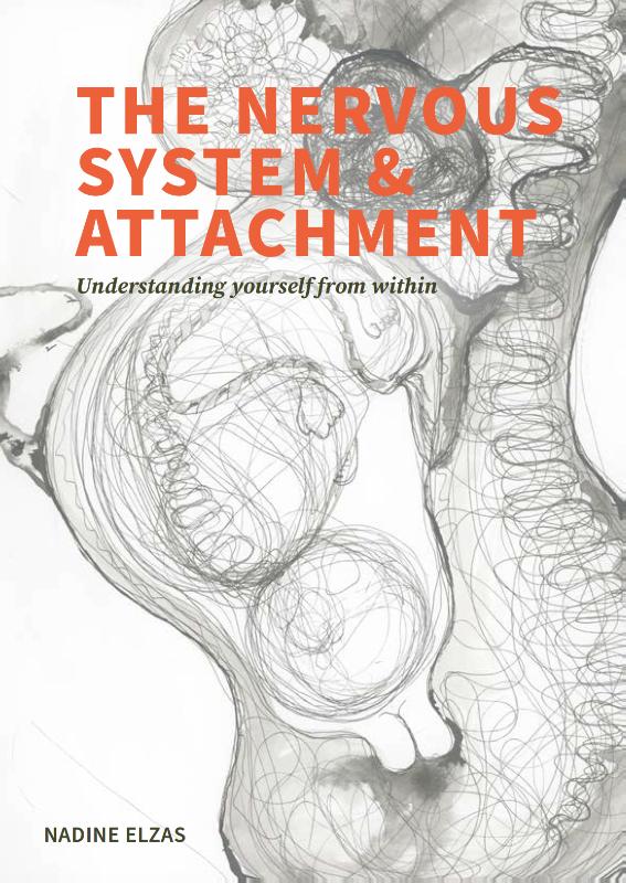 the nervous system and attachment