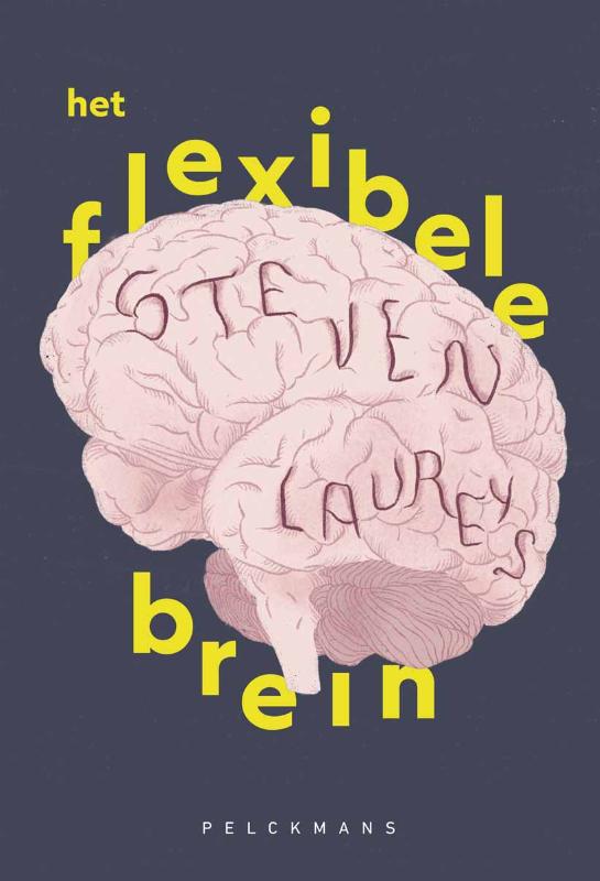 Het flexibele brein
