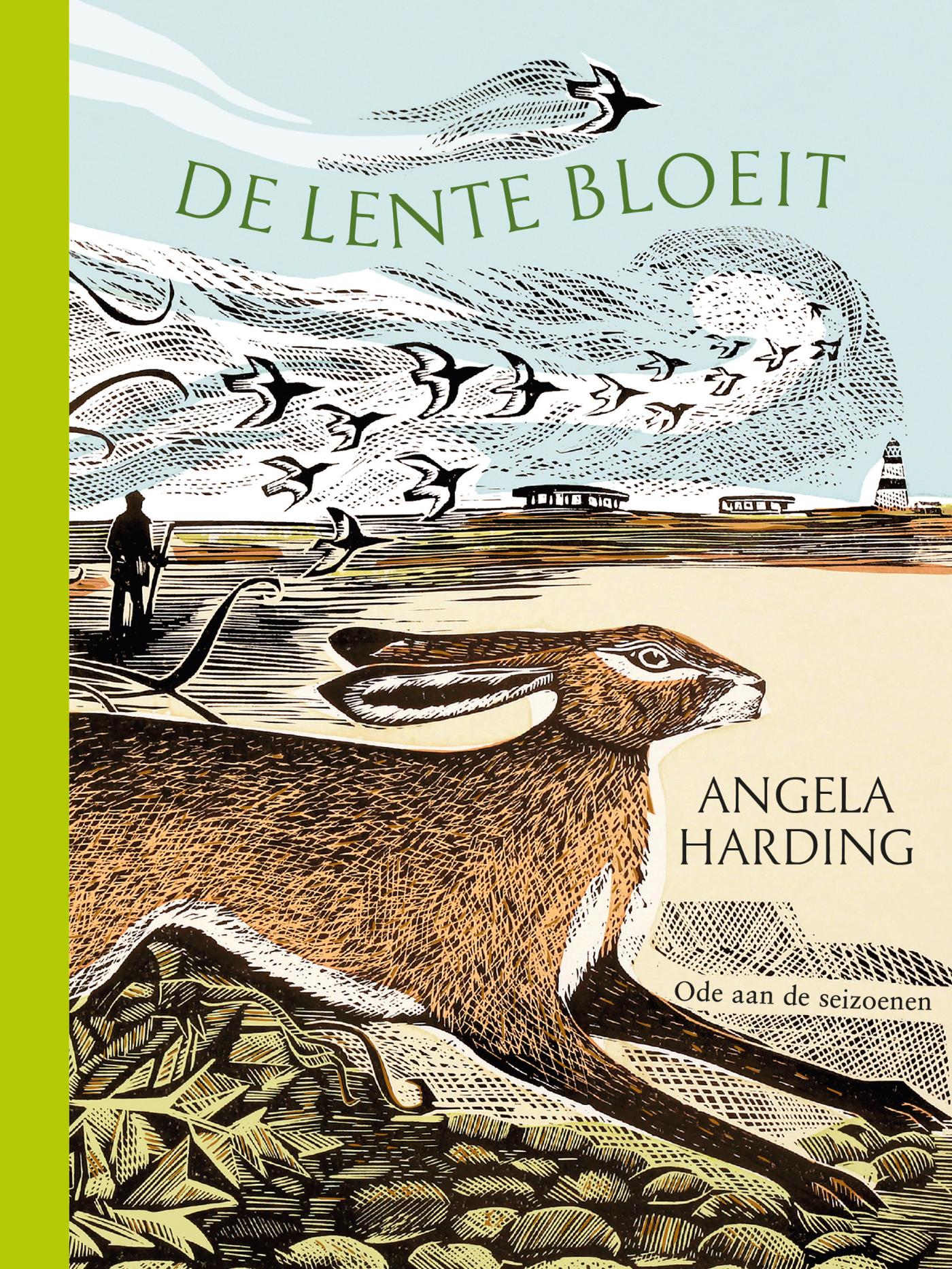 De lente bloeit
