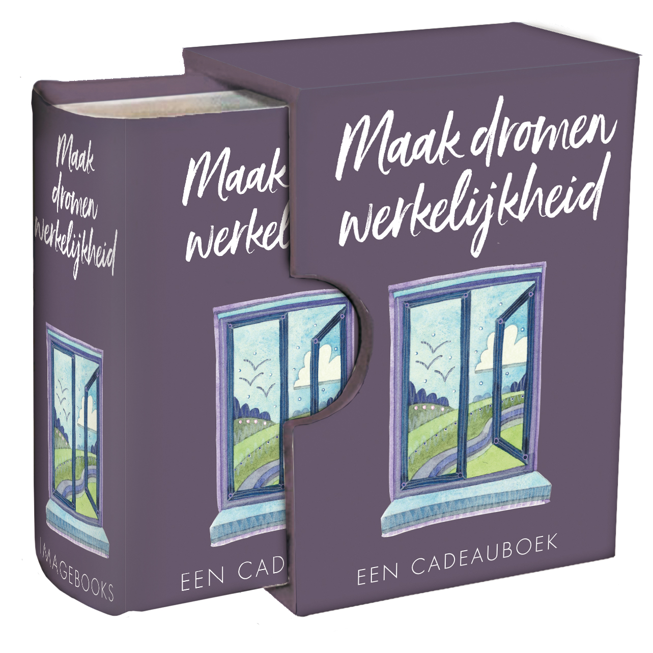Perfecte boek cadeautje - Maak dromen werkelijkheid