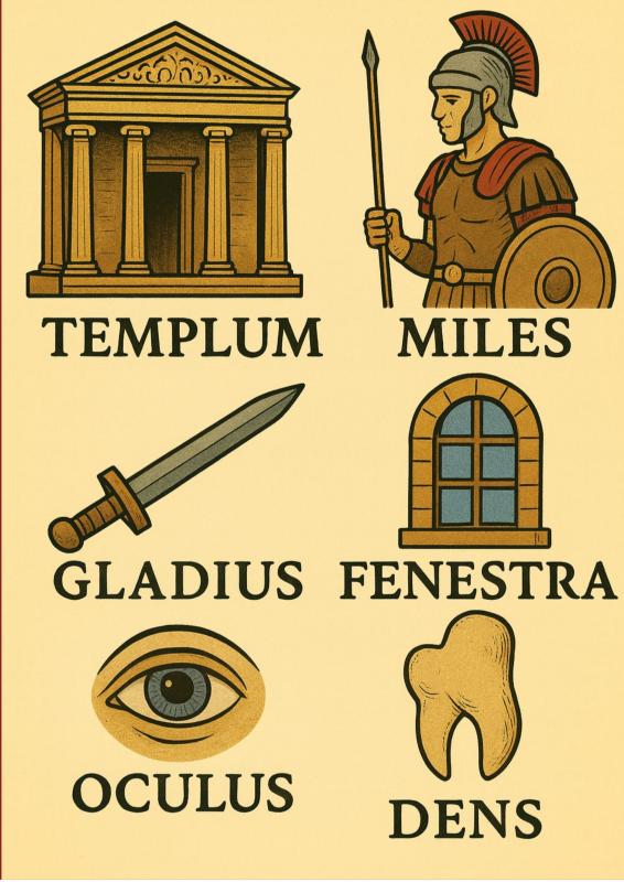 Duizend Latijnse woorden in beeld