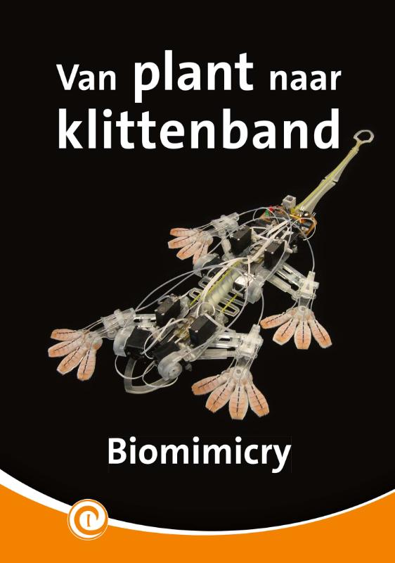 Van plant naar klittenband