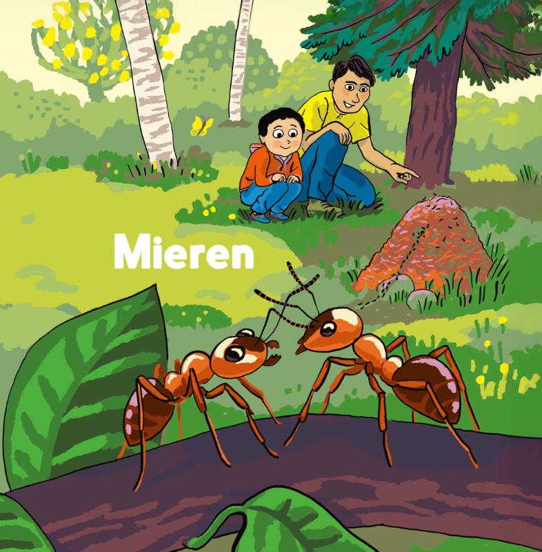 Mieren