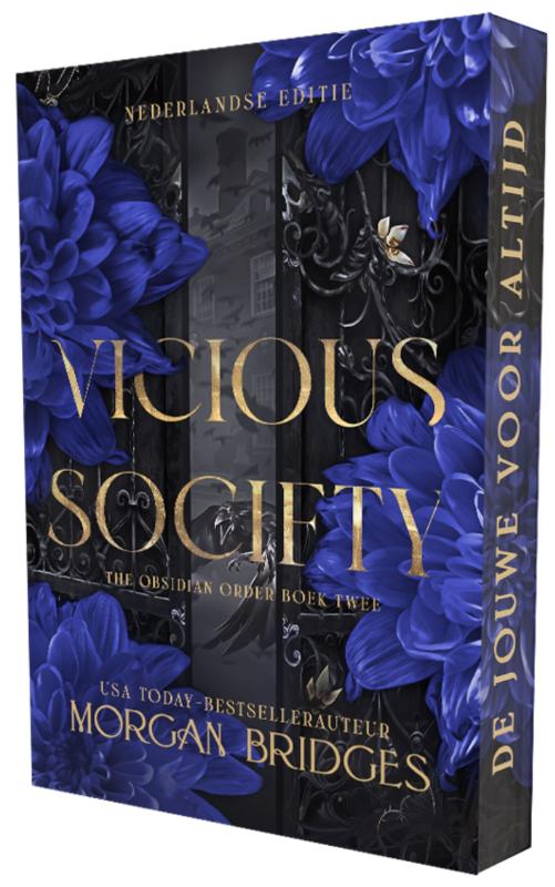 Vicious society