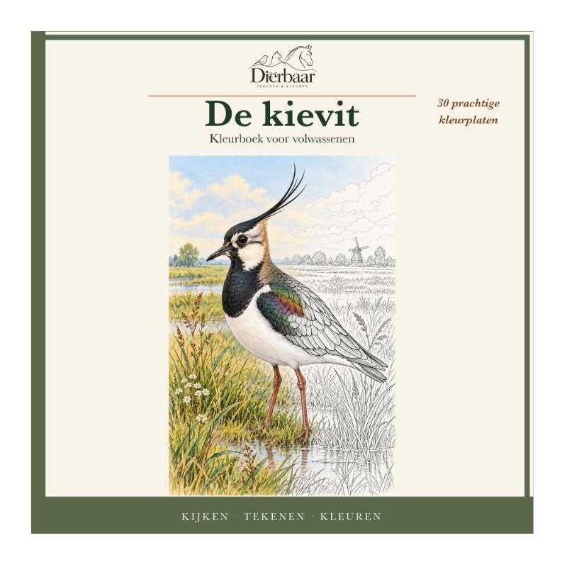 De kievit