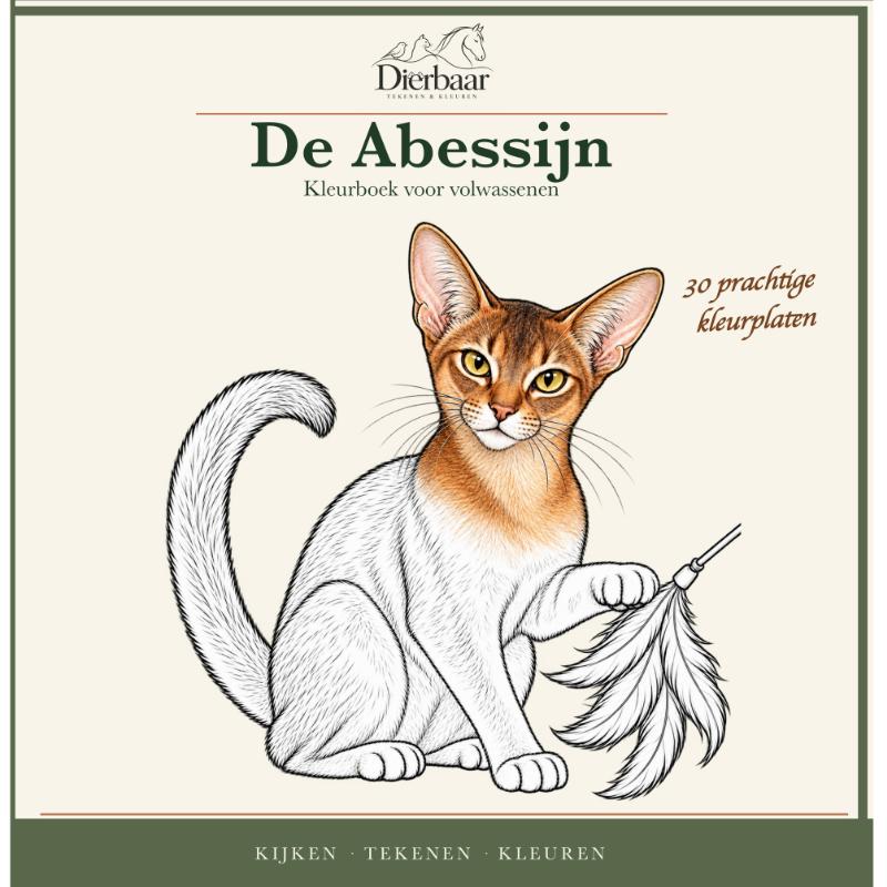 Abessijn