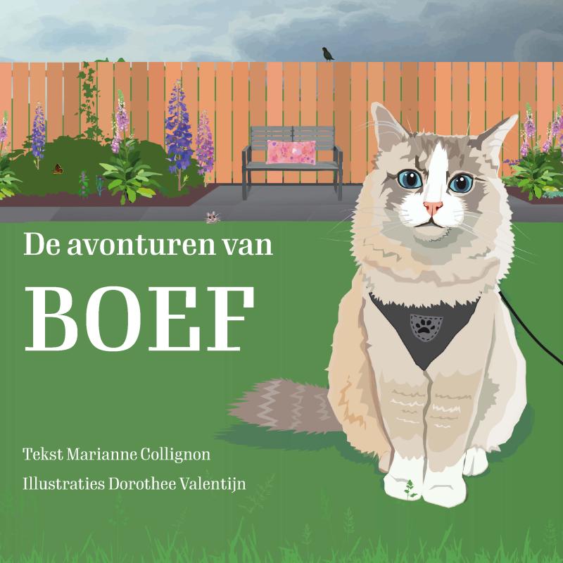 De avonturen van Boef