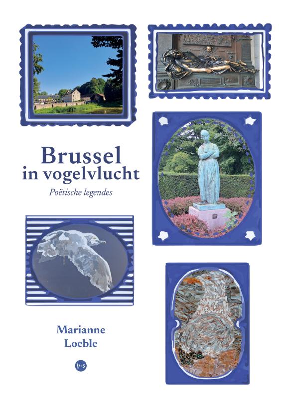 Brussel in vogelvlucht