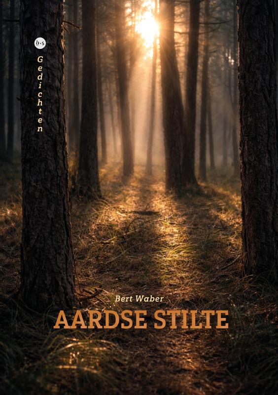 Aardse stilte