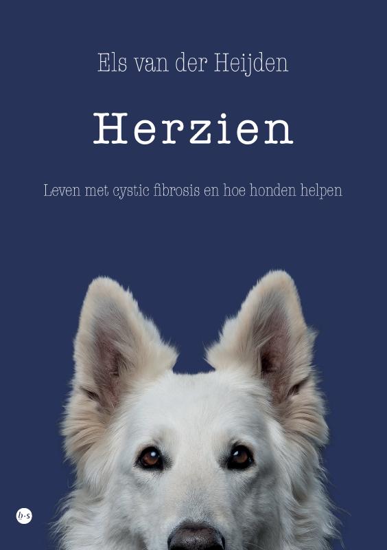 Herzien