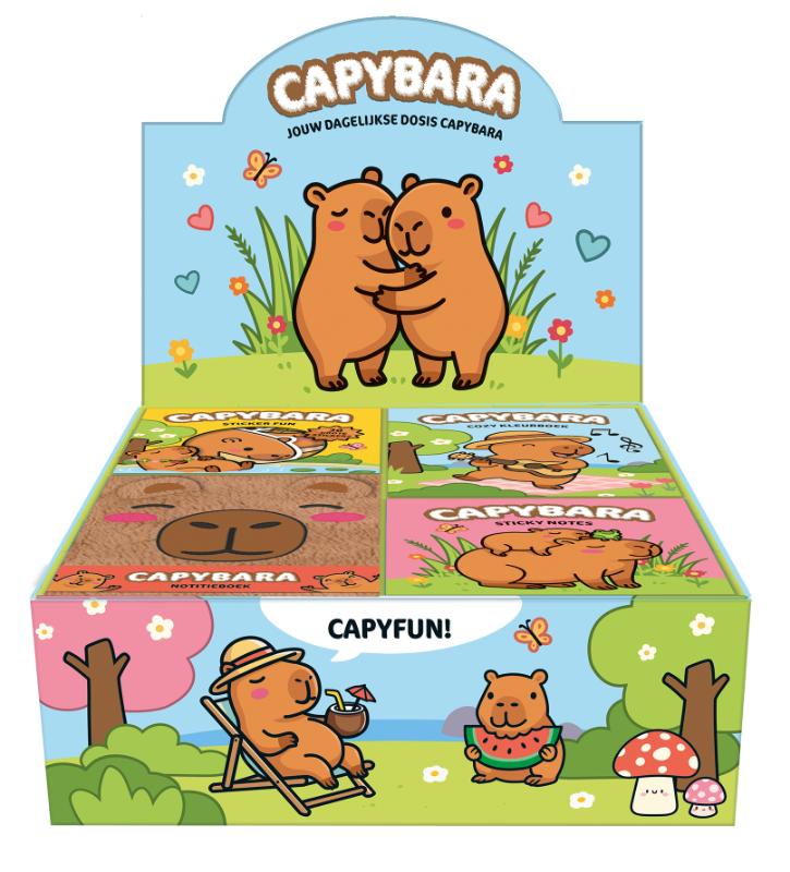 Capybara Display 2 x 10+1 x 6+1 x 5 ex.