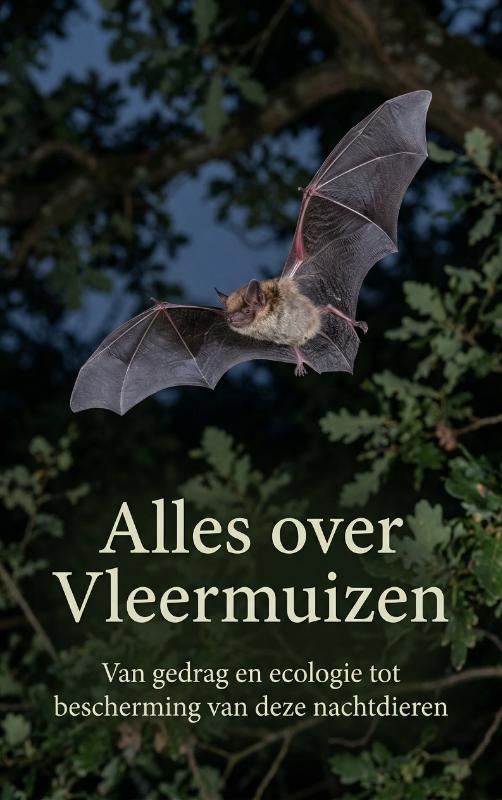 Alles over Vleermuizen